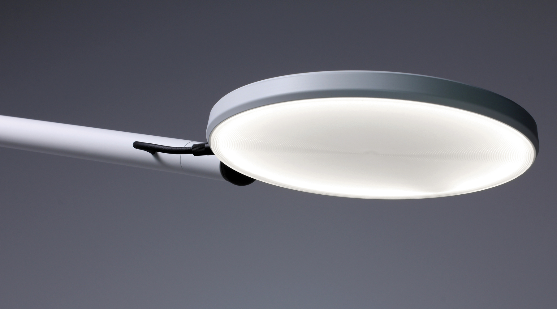 AVVENI Flächenleuchtenkopf (Flood light head) mit weißem Gehäuse. Der Diffusor ist kreisförmig gerillt und glänzend.