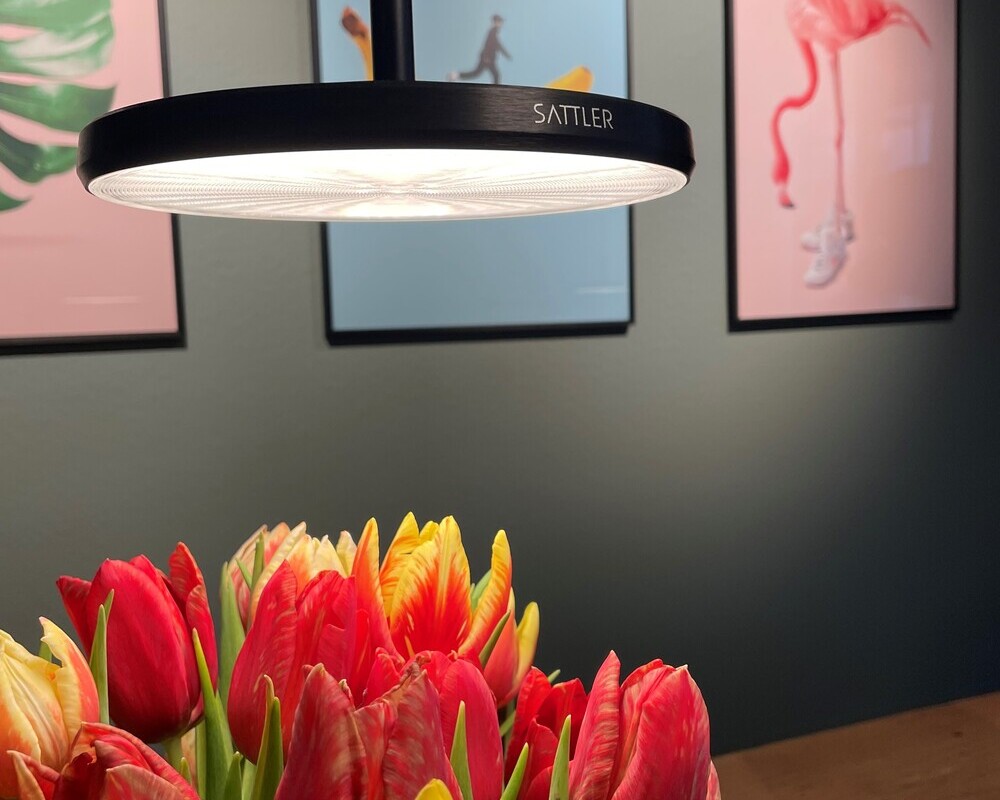 Tellerförmige schwarze Pendelleuchte über Tulpenstrauß mit bunten grafischen Bildern dahinter an der Wand.