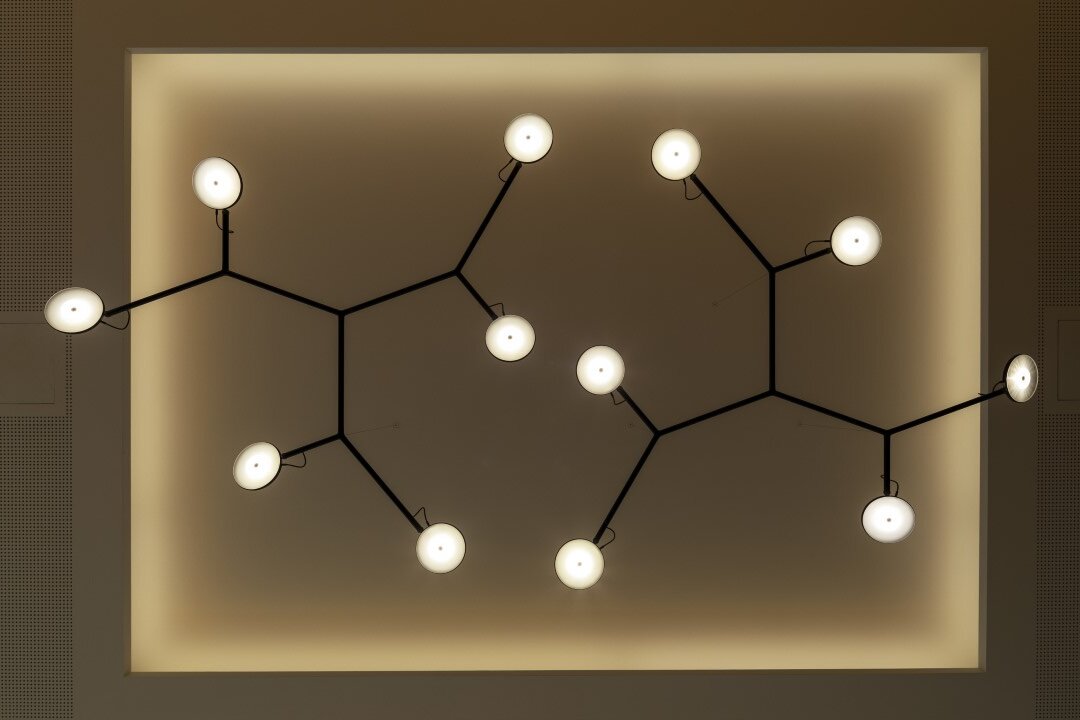 View from below of two 6 round illuminated LED luminaire heads connected to a branched black luminaire structure. | © Juliane Eirich
