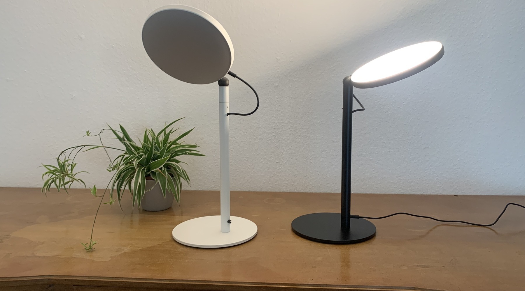 Old wooden sideboard from the 60s with a green plant on the left in the picture, next to it are two AVVENI TABLE table lamps, one white-silver and without cable, the other black, with cable connection and illuminated. Both have their light heads turned in different directions.