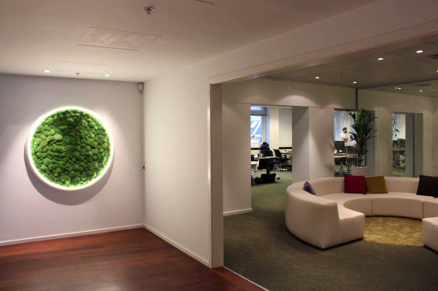 LUCE VERDE SLIM wall light – delicate LED ring light with dry moss ...