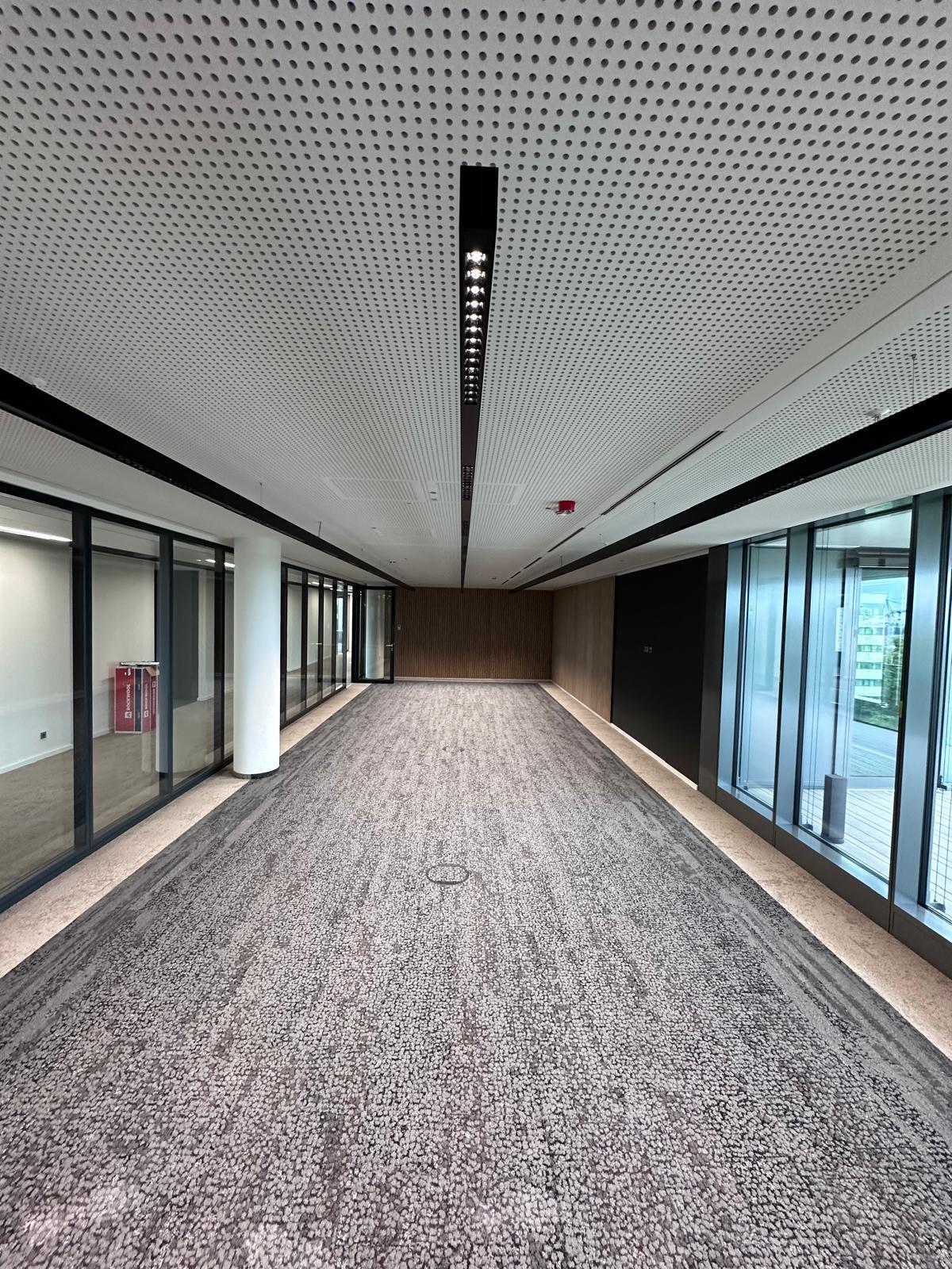 Lineare Pendelleuchte PALADIO LENS 54 als blendfreie Besprechungsraum- & Bürobeleuchtung - LEVELZ | © RKW Architektur + Rhode Kellermann Wawrowsky GmbH Großer leerer rechteckiger Büroraum mit Glaswänden und grauem Teppichboden, an der Decke verlaufen 3 lange schwarze Linearleuchten mit Linsenoptik (PALADIO LENS 54). | © RKW Architektur + Rhode Kellermann Wawrowsky GmbH