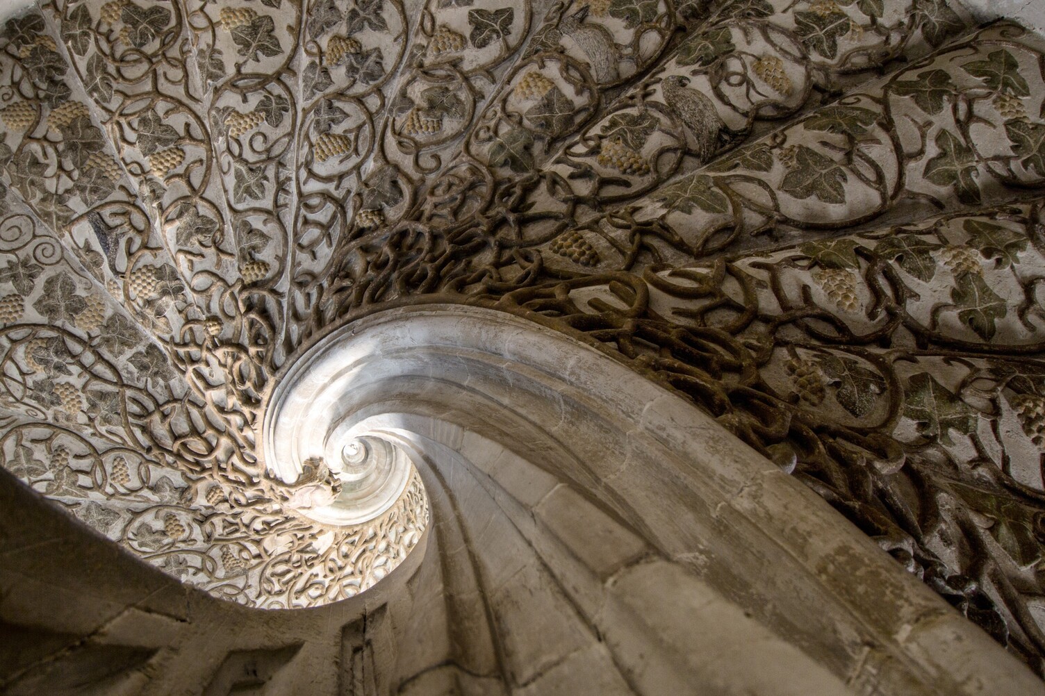 Bildhauerische Meisterleistung im heutigen Amtsgericht Göppingen. Ausschnitt der Rebenstiege im Renaissance Schloß in Göppingen - 71 Stufen von insgesamt 79 der Wendeltreppe werden von einem in Stein gehauenen Weinstock überwuchert, in dessen Rankenwerk 13 Tiere versteckt dargestellt sind. | © SATTLER