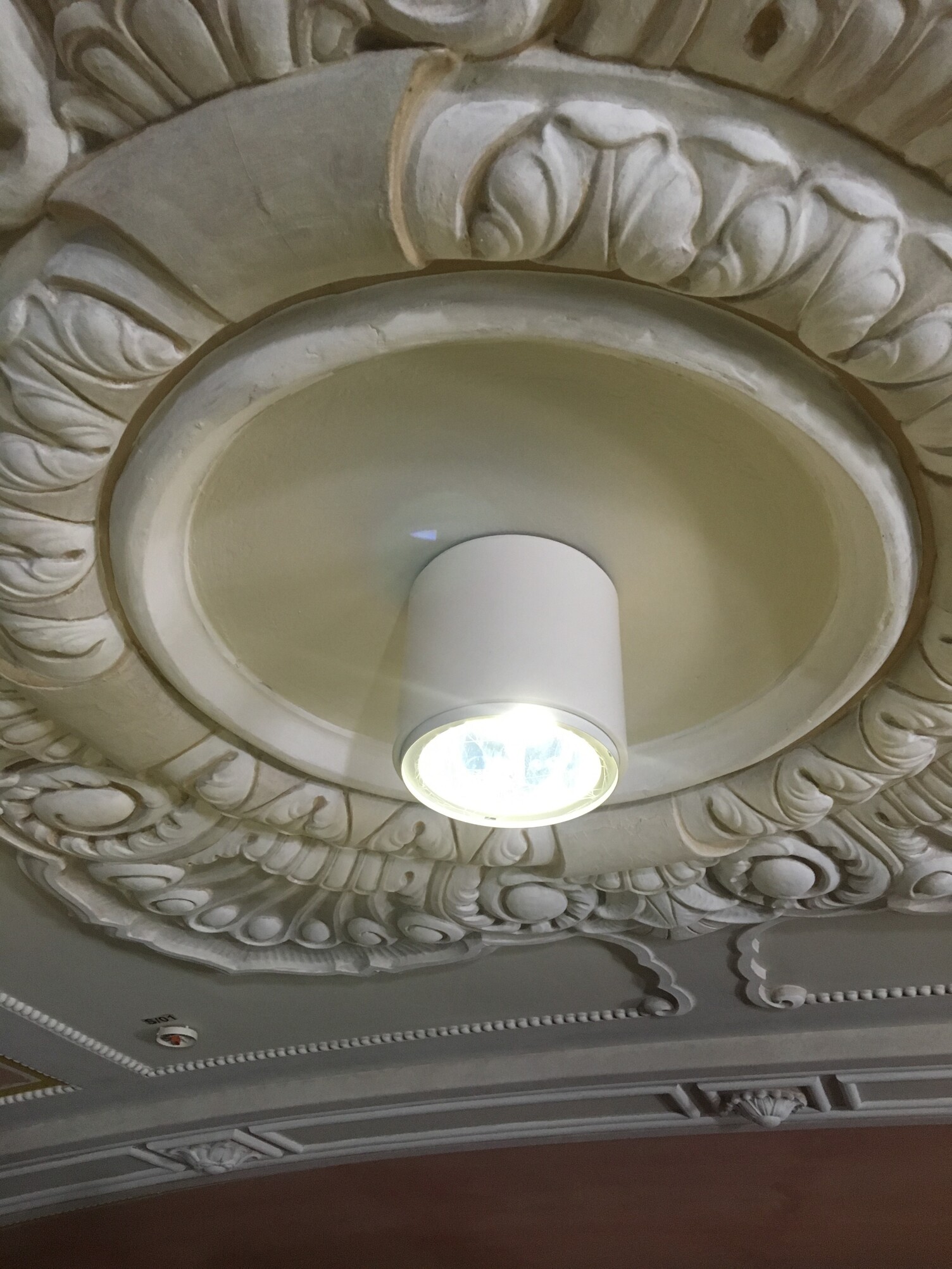 A stucco rosette with a simple white cylindrical downlight.