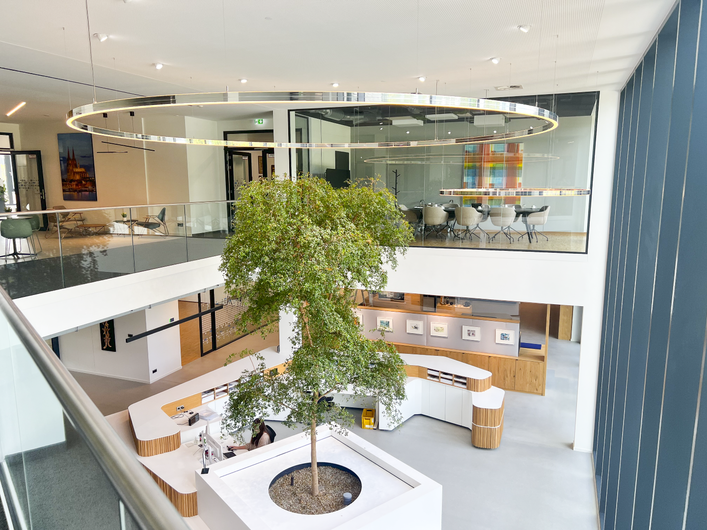 DOPPIO Sonderleuchte im Empfangsbereich Empfangsbereich bei DAHLHAUSEN Medizintechnik mit zweigeschossigem Raum, Baum im Zentrum und polierter DOPPIO Sonderleuchte aus Aluminium.