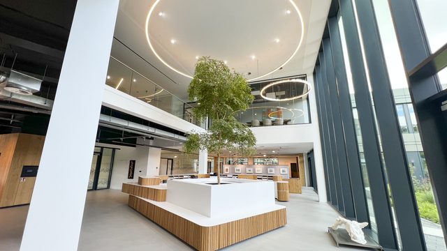 Empfangsbereich mit Baum und DUETTO Sonderleuchte aus poliertem Aluminium bei DAHLHAUSEN Medizintechnik.