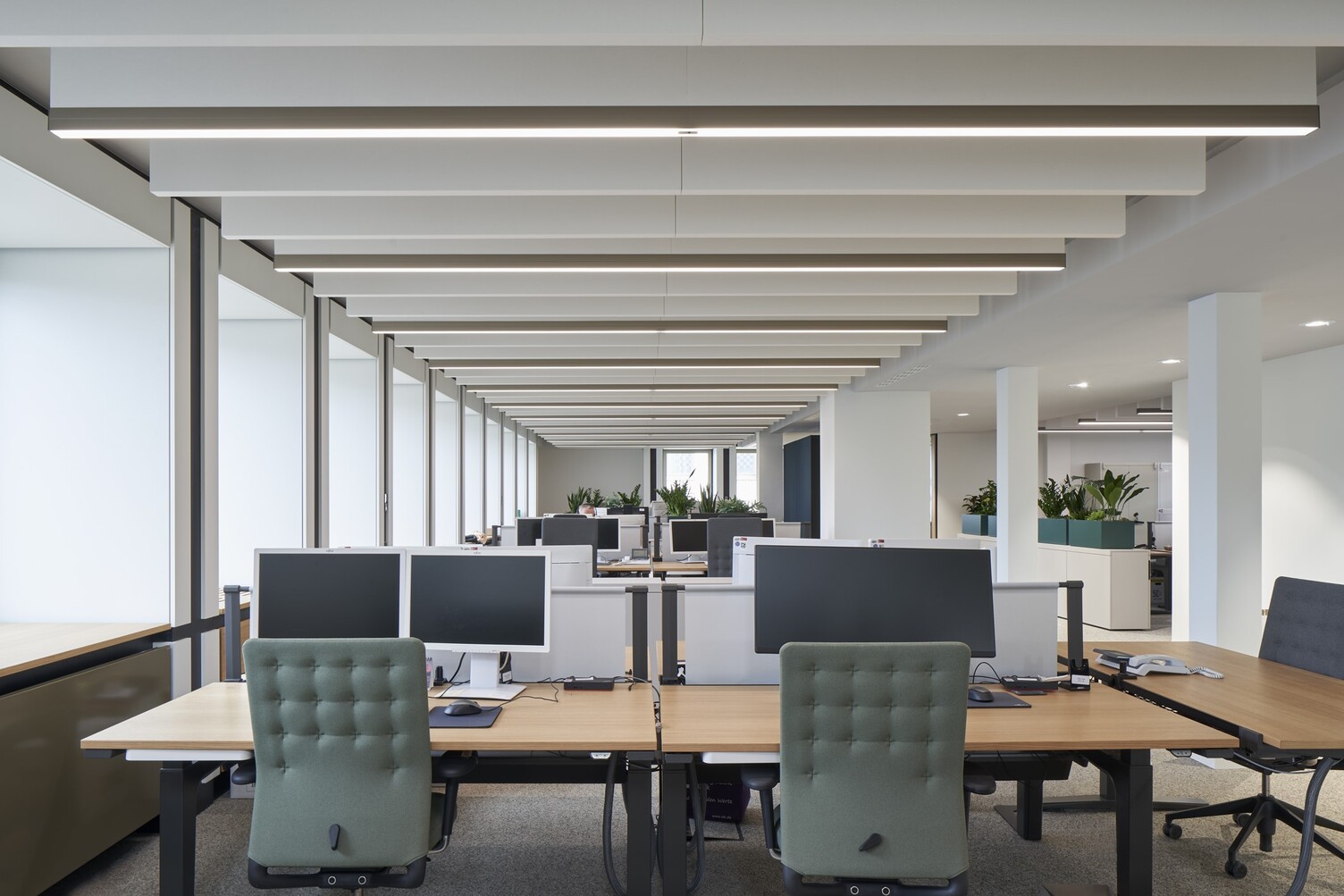 Blick in ein Großraumbüro mit unendlich wirkender Raum mit Bildschirmarbeitsplätzen, grünen Bürostühlen und an der Decke lineare Leuchten und weißen Akustikbaffeln.