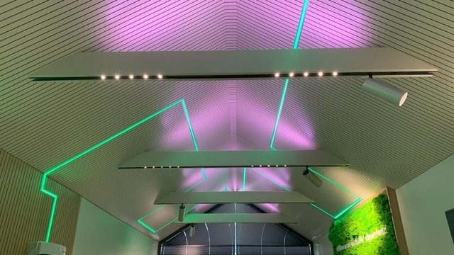 Ceiling lighting with modern LED luminaires in a tiny house, combined with indirect lighting in green and violet. | © Alexander Strifler