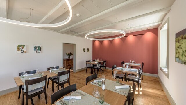 Cosy, bright restaurant room with a red wall and white DUETTO ring lights, suspended from a white wooden ceiling. | © LUXED