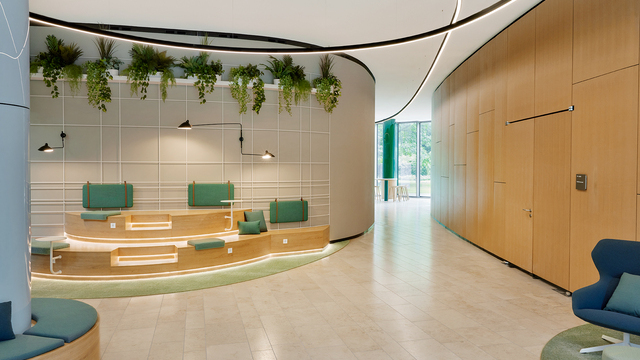 Moderner Lounge-Bereich der kfW Westarkade. Blick auf halbrunde zweistufige Treppenholzbank mit grünen Kissen, darüber entlang der runden Wand grüne Pflanzen. Rechts im Bild führt ein Gang zu einem weiteren Raum mit bodennahen Fenstern und Blick ins Grün. Oben im Bild: zwei gebogenen schwarze DUETTO Lichtlinien, die von der Decke abgependelt sind und auf unterschiedlichen Höhen verlaufen und sich einmal kreuzen. Eine verläuft weiter den Gang entlang.  | © @Nina Struve for VRAI interior architecture