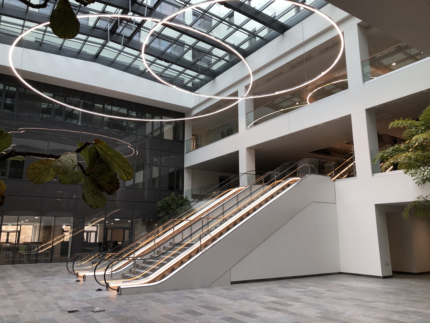 custom luminaires ring lights ANELLO in large scale installation in atrium of hospital building