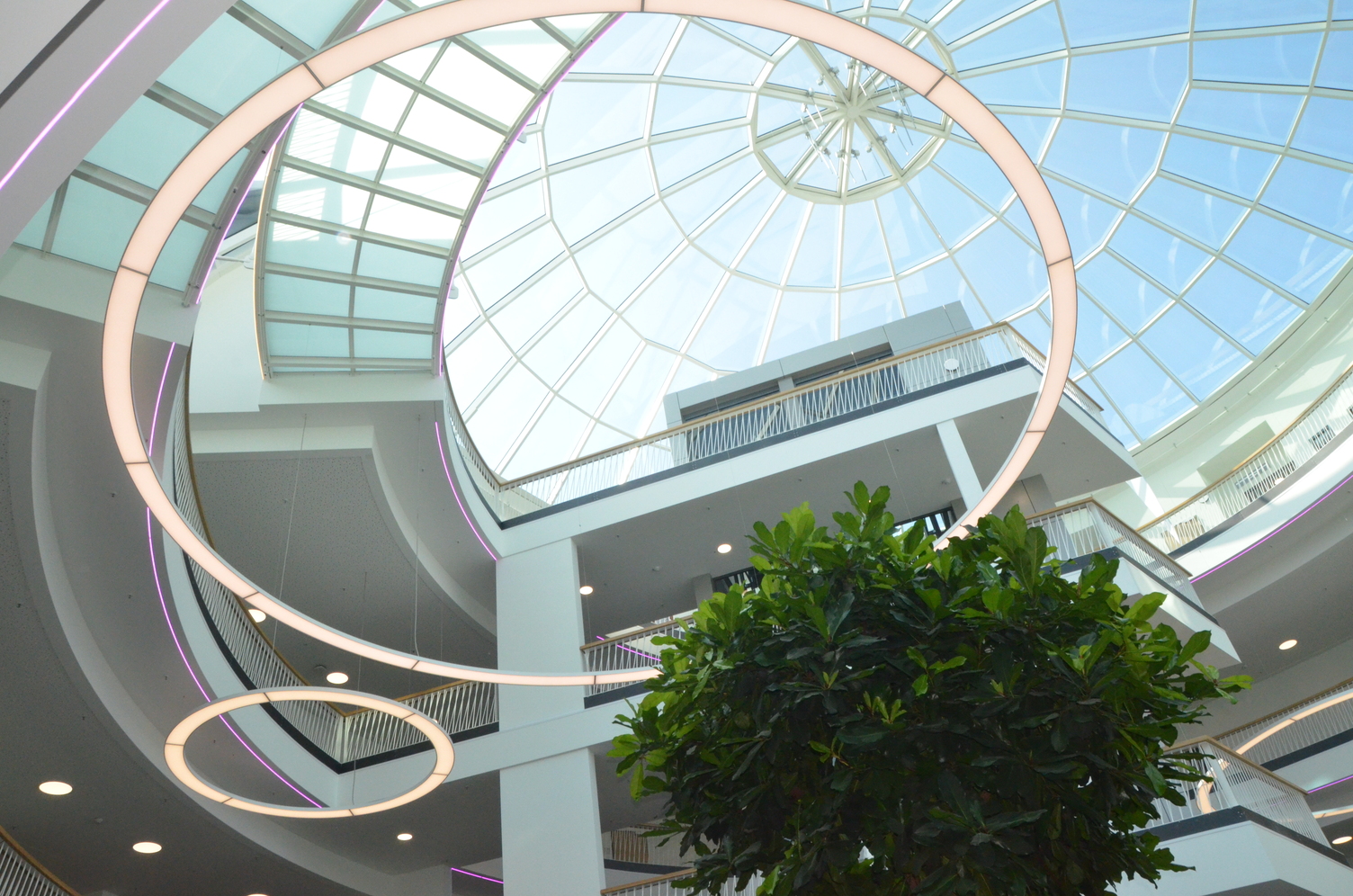 custom luminaires large ring lights installed under glass roof in atrium of hospital building