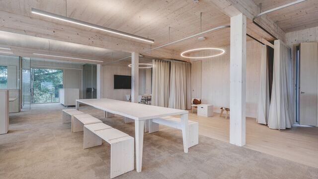 Heller Büro- und Besprechungsbereich im Schumann Project mit linearen Leuchten und Ringleuchten unter einer Holzdecke | ©  Johannes Willwacher
