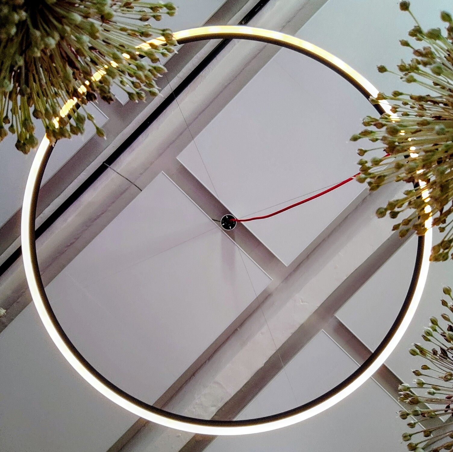 Runder Lichtblick Blick von unten auf eine Ringleuchte Doppio. Man sieht auf einen weißen Lichtring, und in der Mitte dünne Stahlkabel und ein rotes Textilkabel, das an der Decke mittig zusammen laufen. An drei Ecken des Bildes ragen grüne Pflanzen in das Bild.