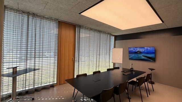SATTLER conference room with rectangular light ceiling