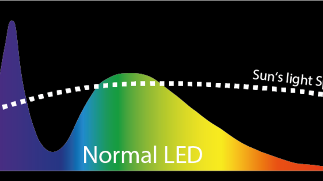 Grafik Lichtspektrum normale LED mit eingeschränkter Farbwiedergabe