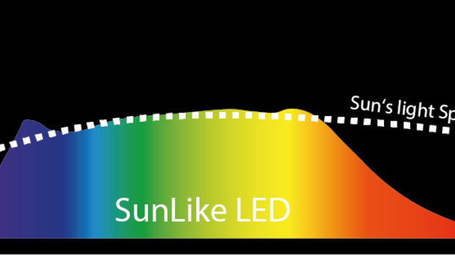 Grafik Lichtspektrum SunLike LED mit sonnenähnlicher Farbwiedergabe | © Graphic of the SunLike LED light spectrum, showing a distribution close to natural sunlight and providing uniform color rendering.